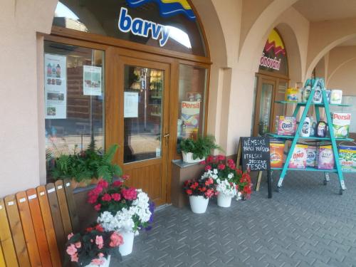 WhatsApp-Image-2023-08-17-at-11.56.28