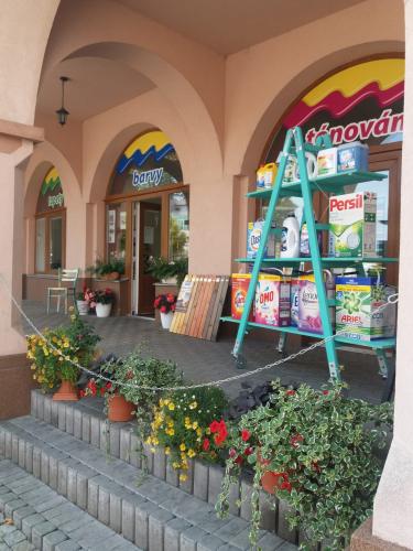 WhatsApp-Image-2023-08-17-at-11.56.30